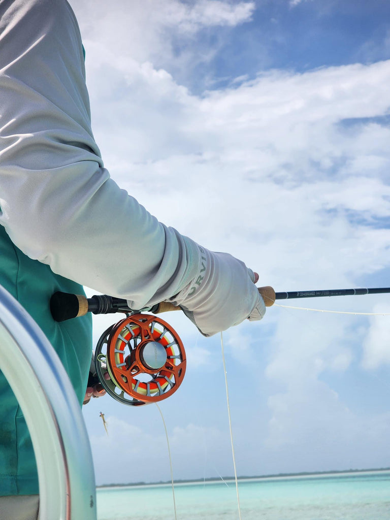 cheeky saltwater fly reels Sighter 350 Reel weight forward (WF) tapered floating fly line designed specifically for the range of rod size associated with each PreLoad size SALE! Cheeky Launch Fly Reels