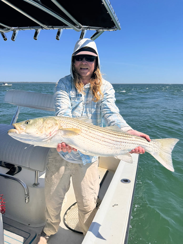 Martha's Vineyard Striped Bass Report: Rips Producing, Flats Heating Up
