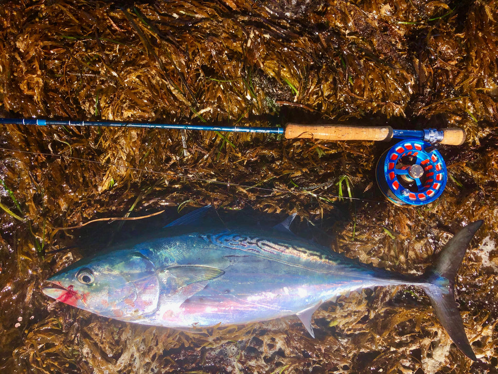 Martha's Vineyard Fall Run Series Part Two: Albie Outfit