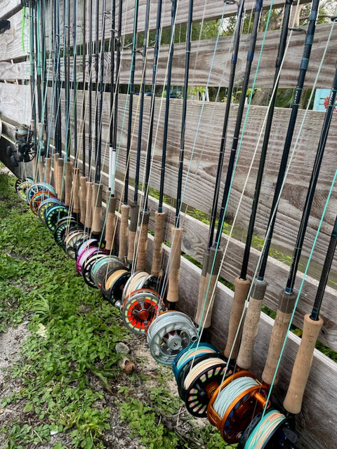 Soul Fly Lodge Trip Report