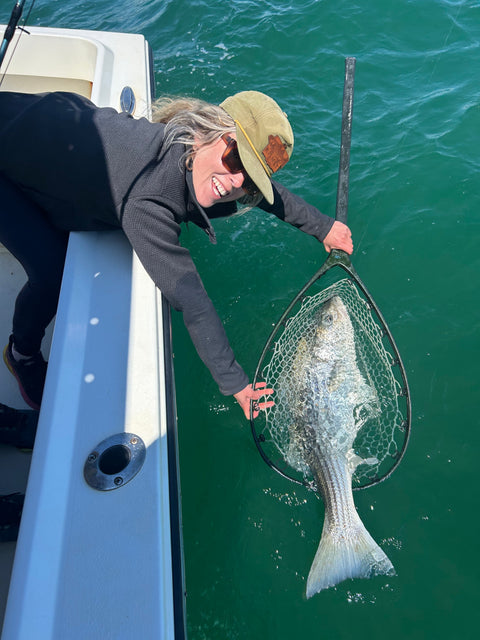 Martha's Vineyard Fly Fishing Report: Striped Bass Fishing Continues to Improve