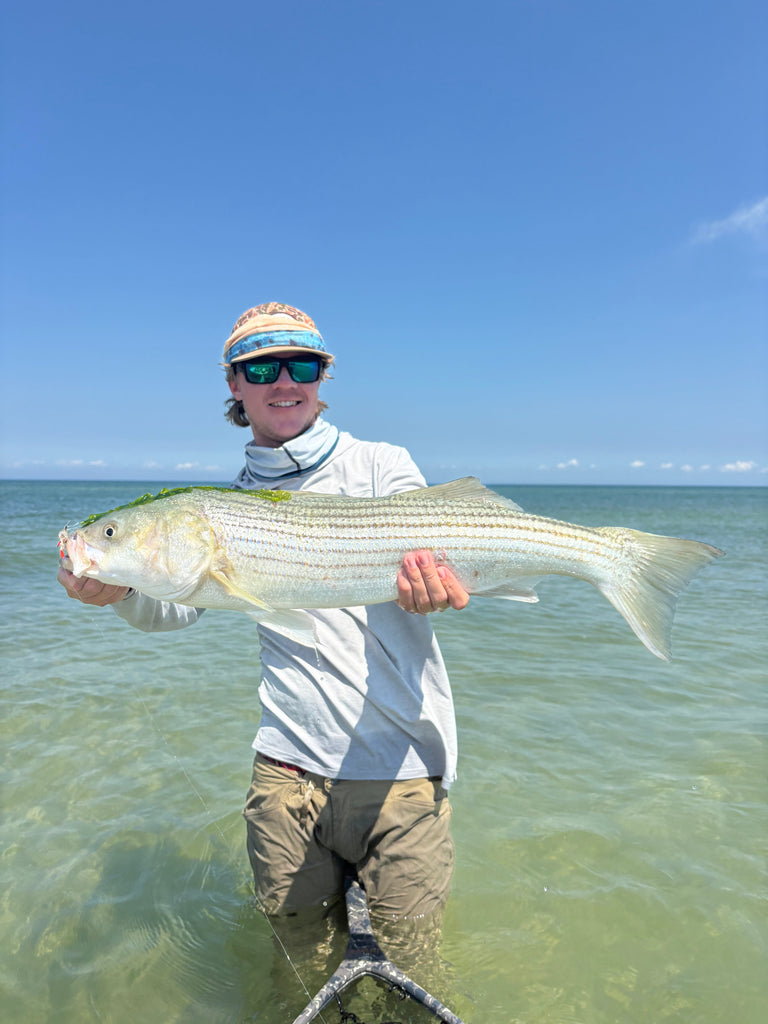 Martha’s Vineyard Shore Fishing: Guided Fishing in Late-Summer and Early Fall
