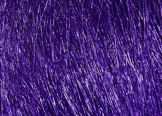 #298 Purple