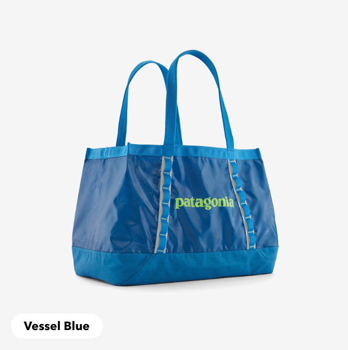 Patagonia Black Hole Tote 25L– Kismet Outfitters
